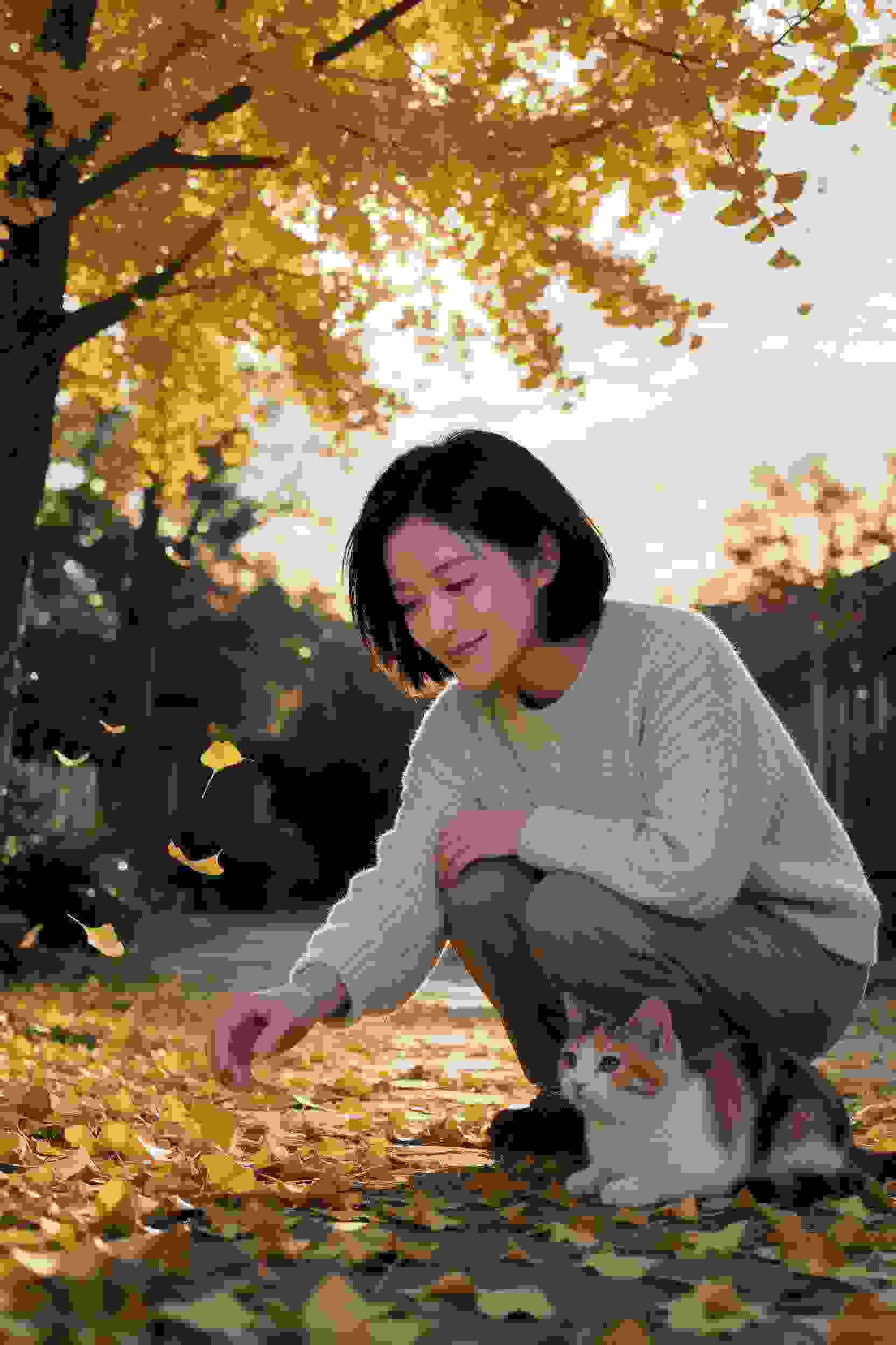 小镇故事
